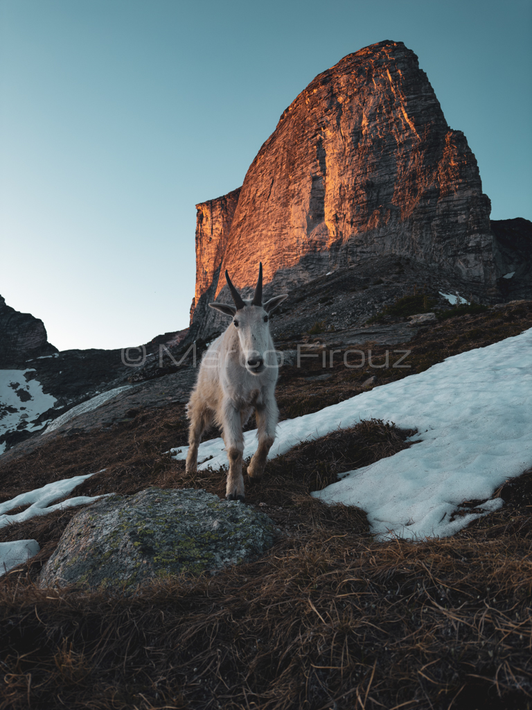 Epic Photos Set