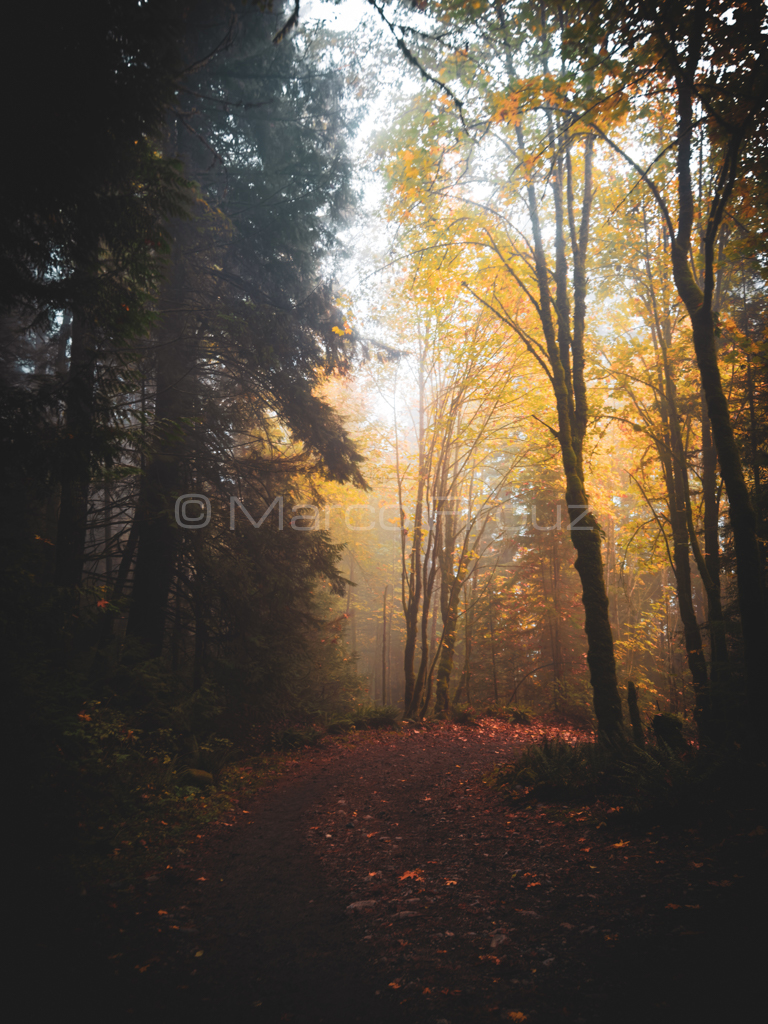 Magical Photos Set